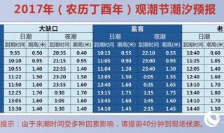 2023年8月曹妃甸赶海最佳时间